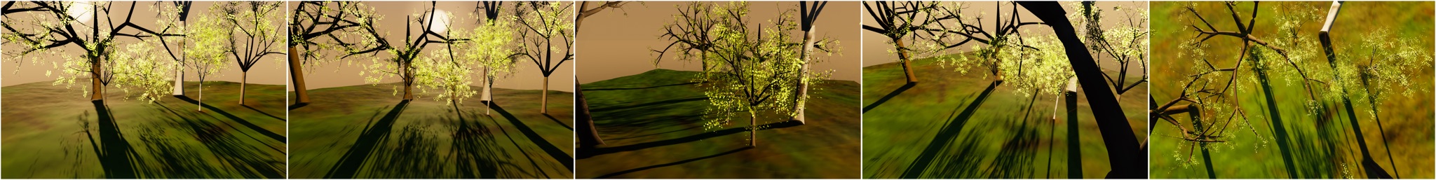 Visualizer · forest