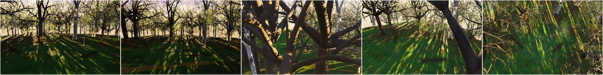Visualizer · forest