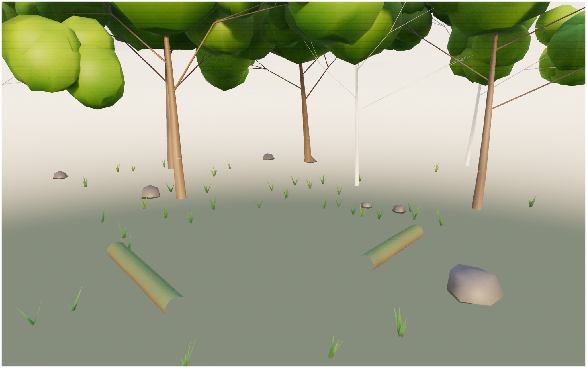 Visualizer · forest