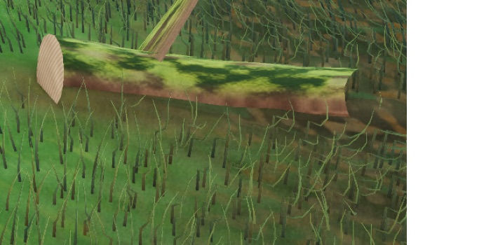 Visualizer · forest-crops