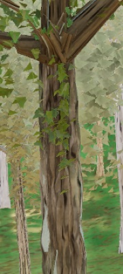 Visualizer · forest-crops