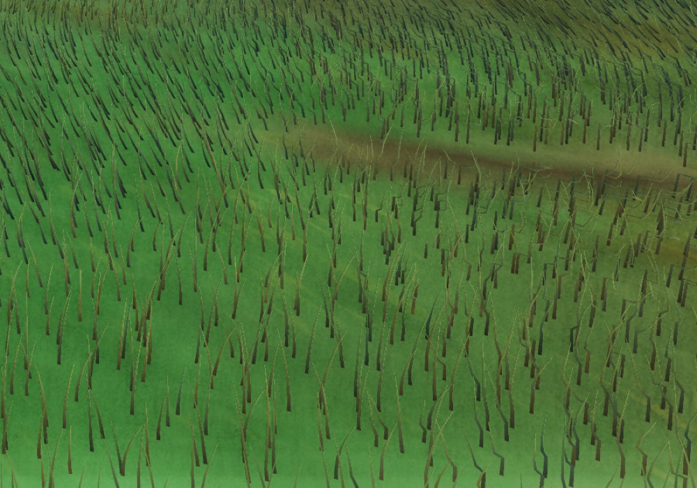 Visualizer · forest-crops