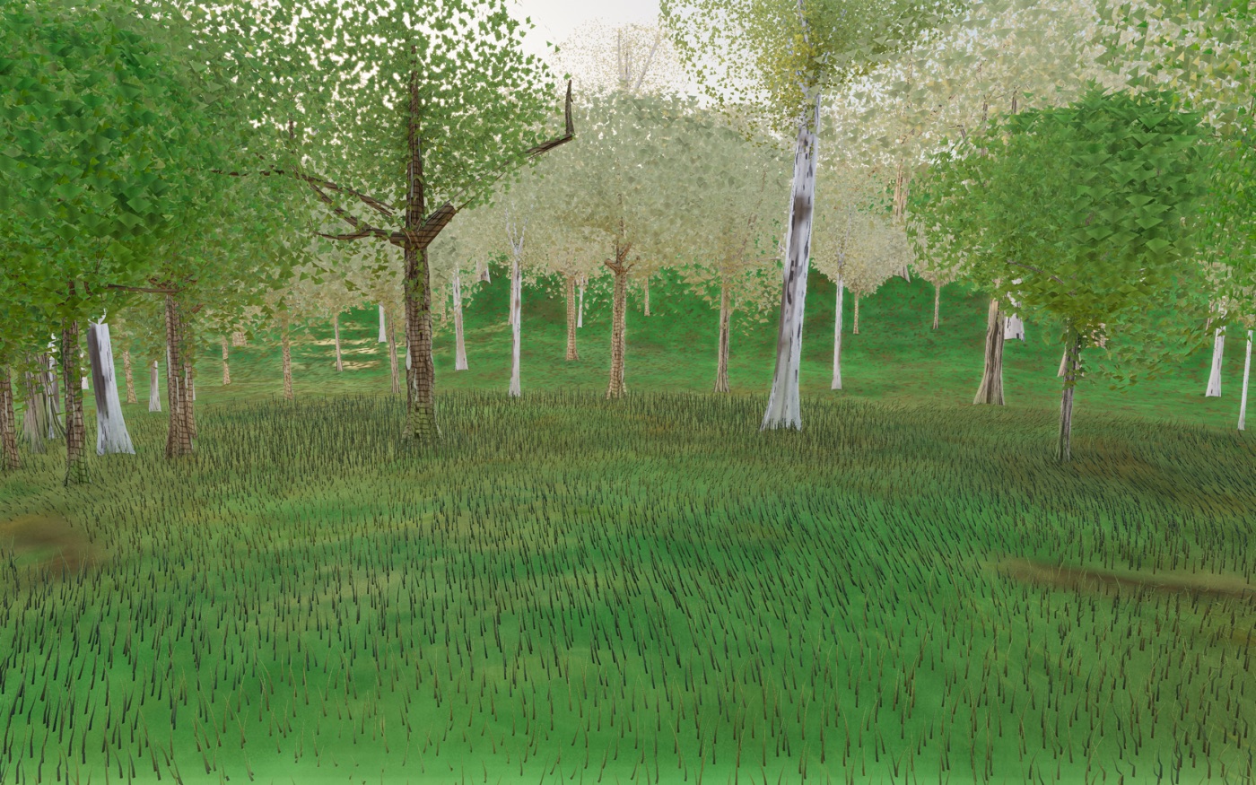 Visualizer · forest-crops