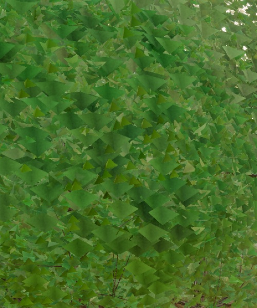 Visualizer · forest-crops