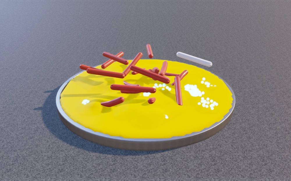 Visualizer · hdultra-foam