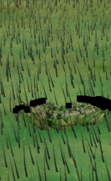 Visualizer · forest-crops-final