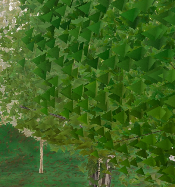Visualizer · forest-crops