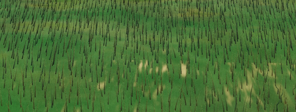 Visualizer · forest-crops