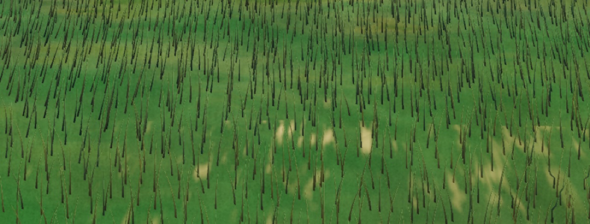 Visualizer · forest-crops