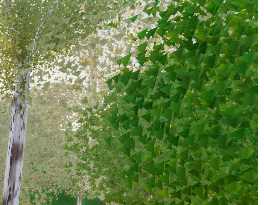 Visualizer · forest-crops