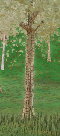 Visualizer · forest-crops
