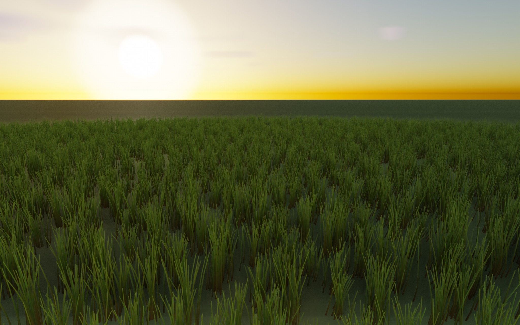 Visualizer · meadow-hero