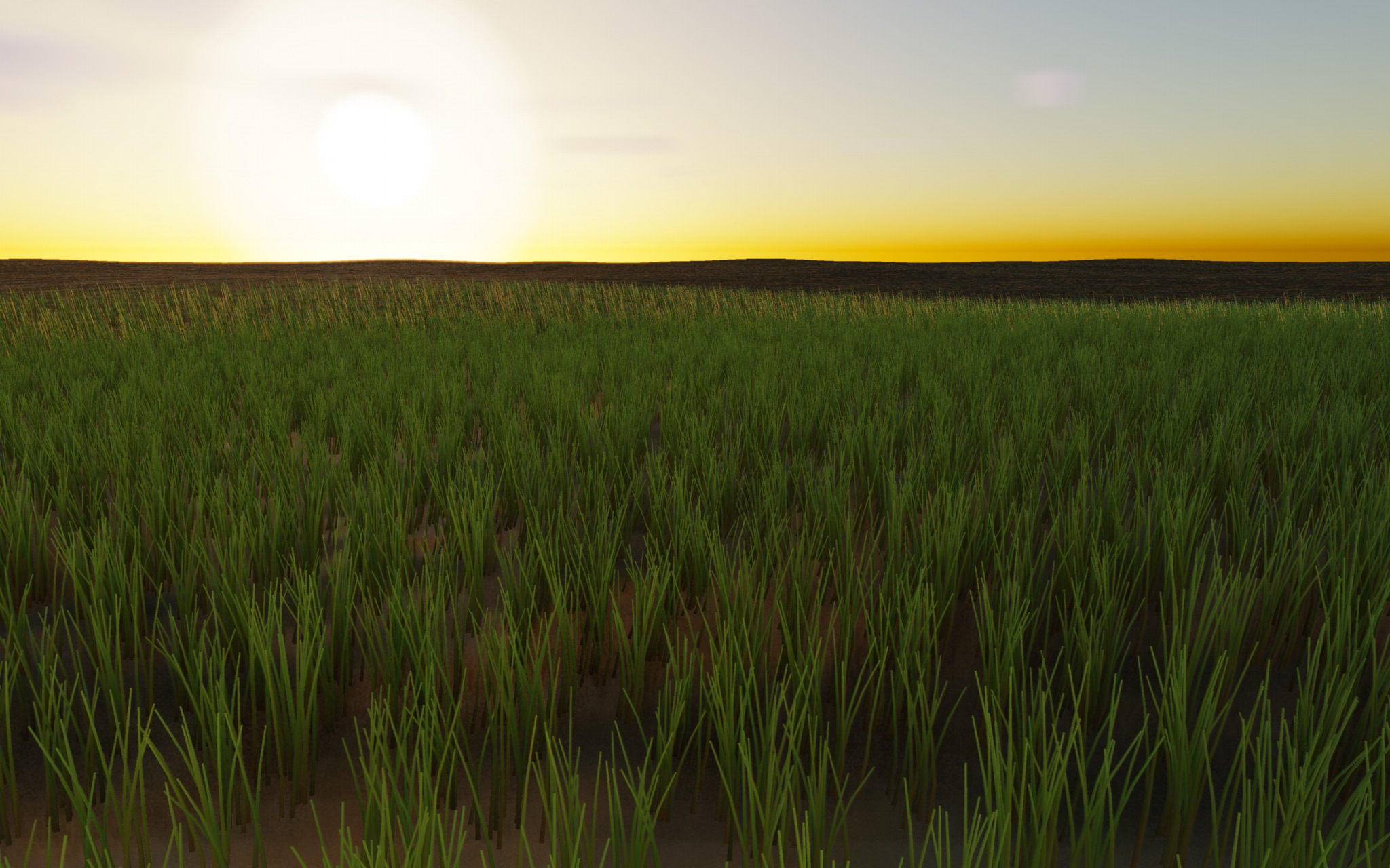 Visualizer · meadow-hero