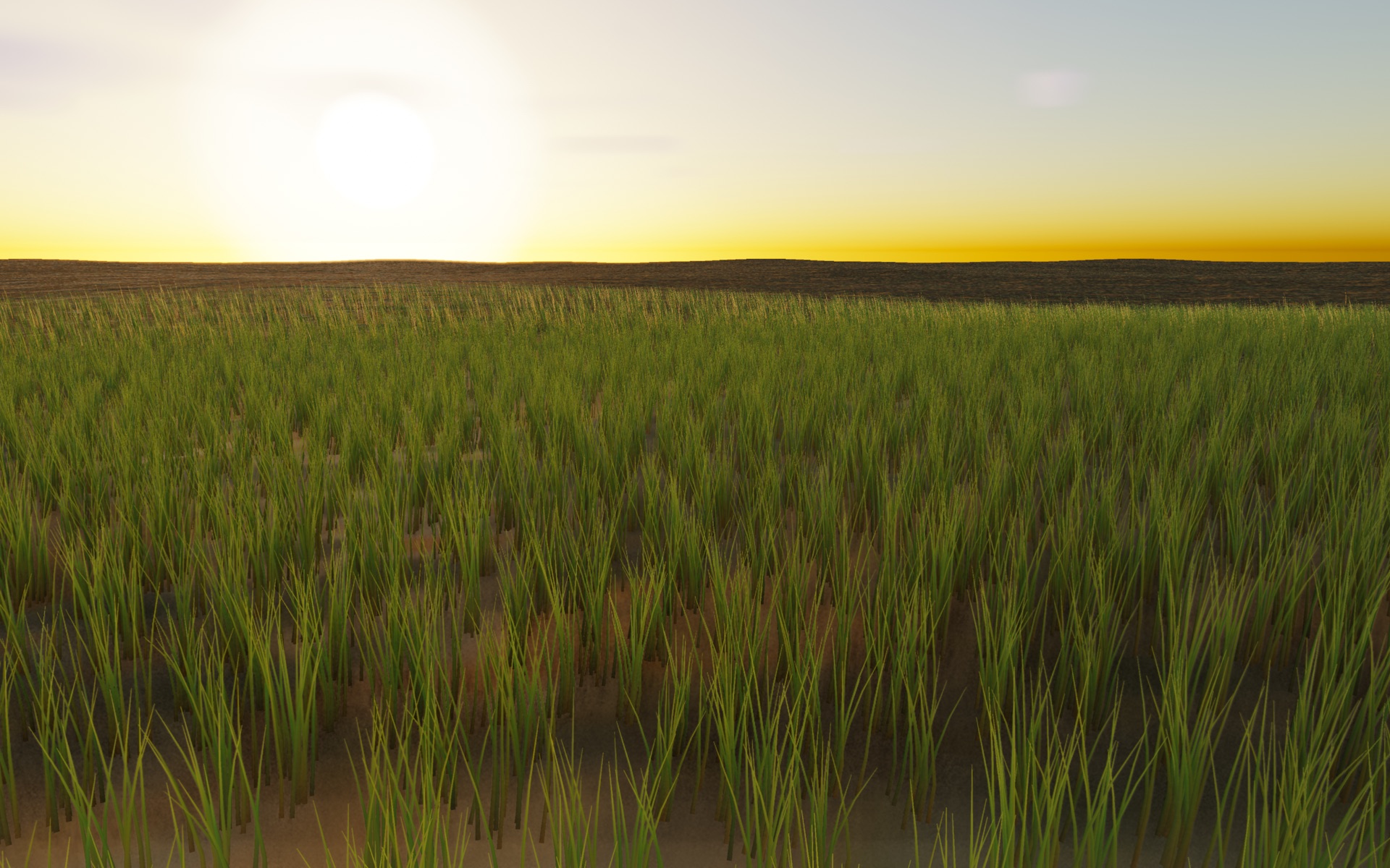 Visualizer · meadow-hero