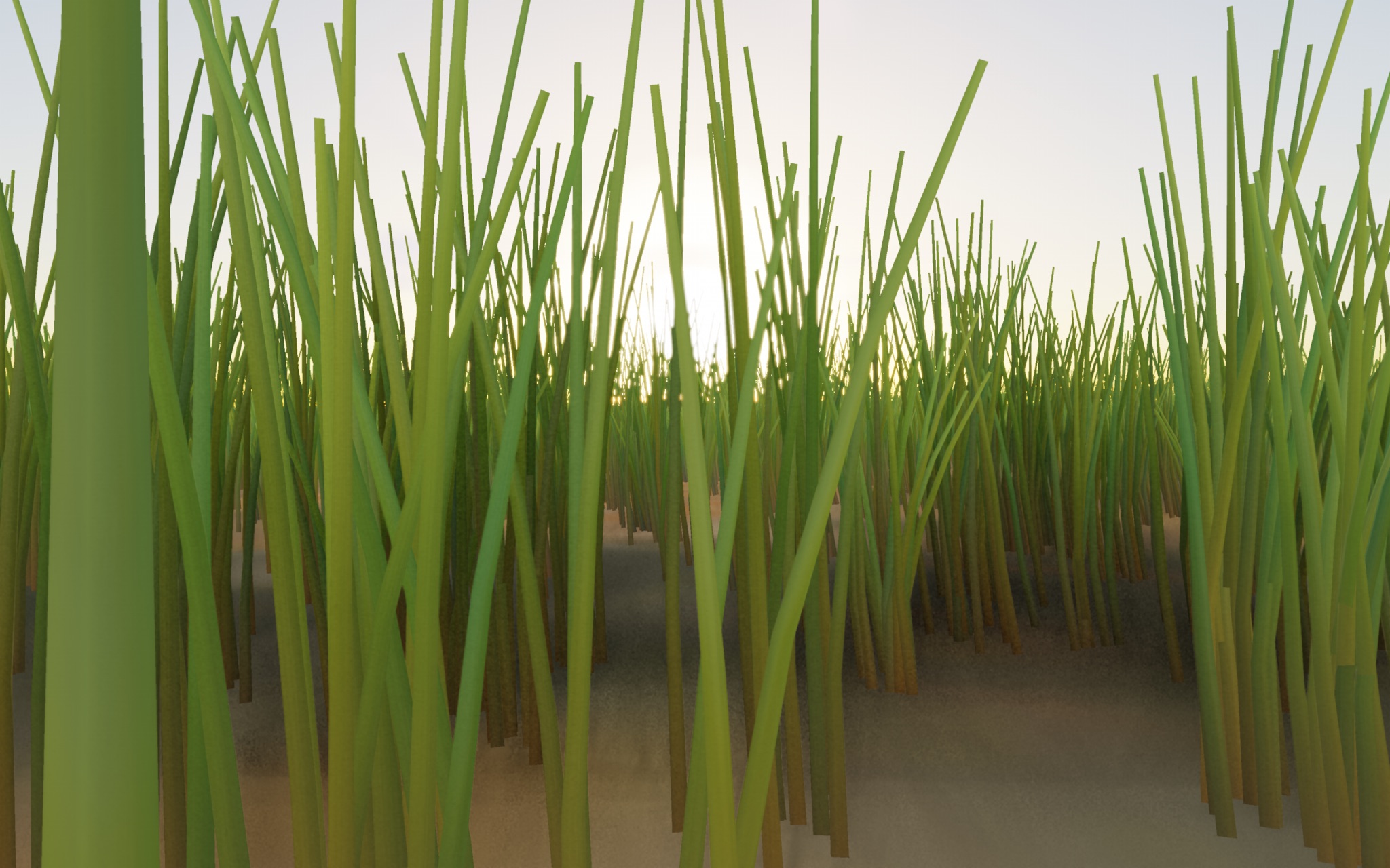 Visualizer · meadow-low