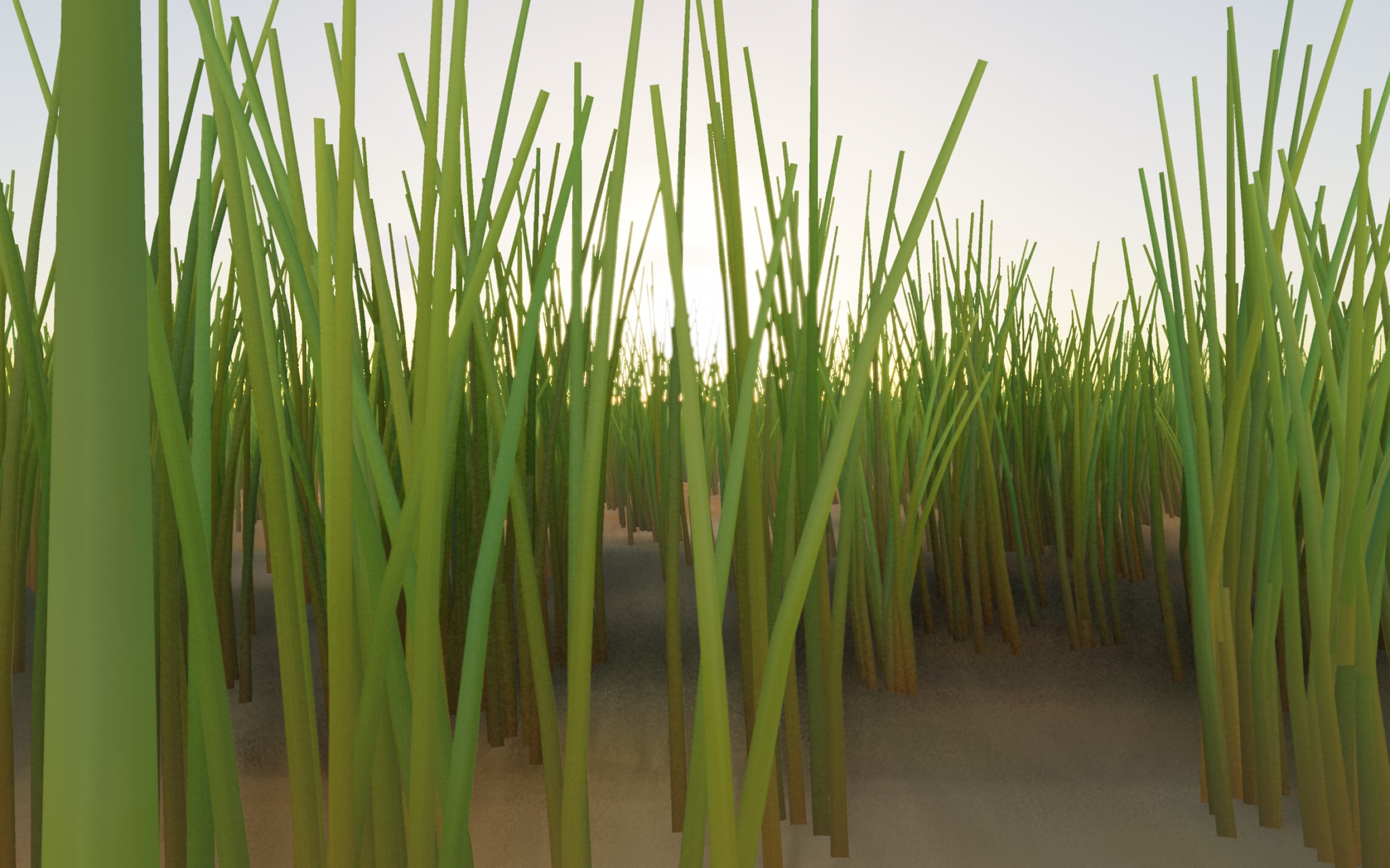 Visualizer · meadow-low