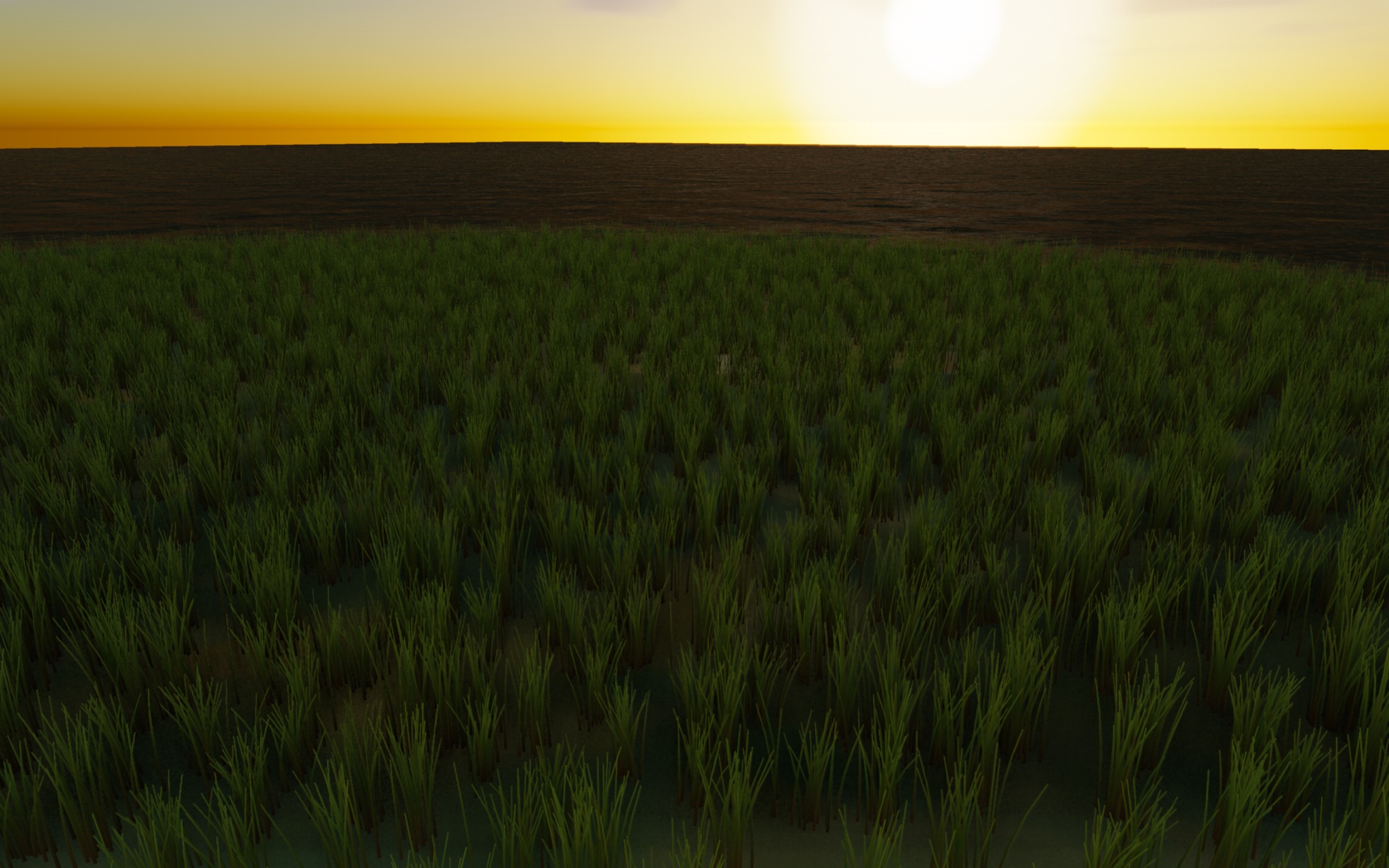 Visualizer · meadow-three-quarter