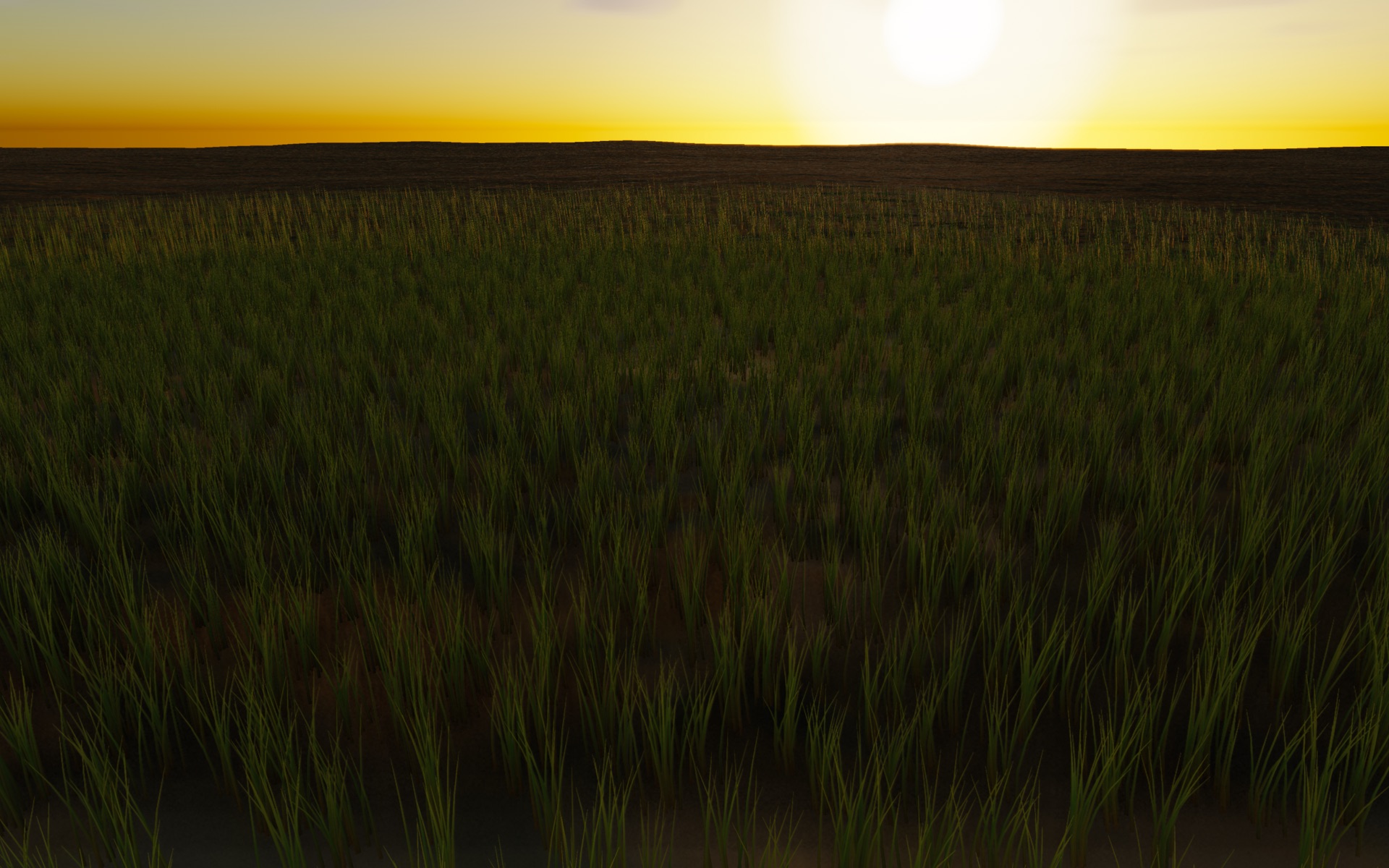 Visualizer · meadow-three-quarter