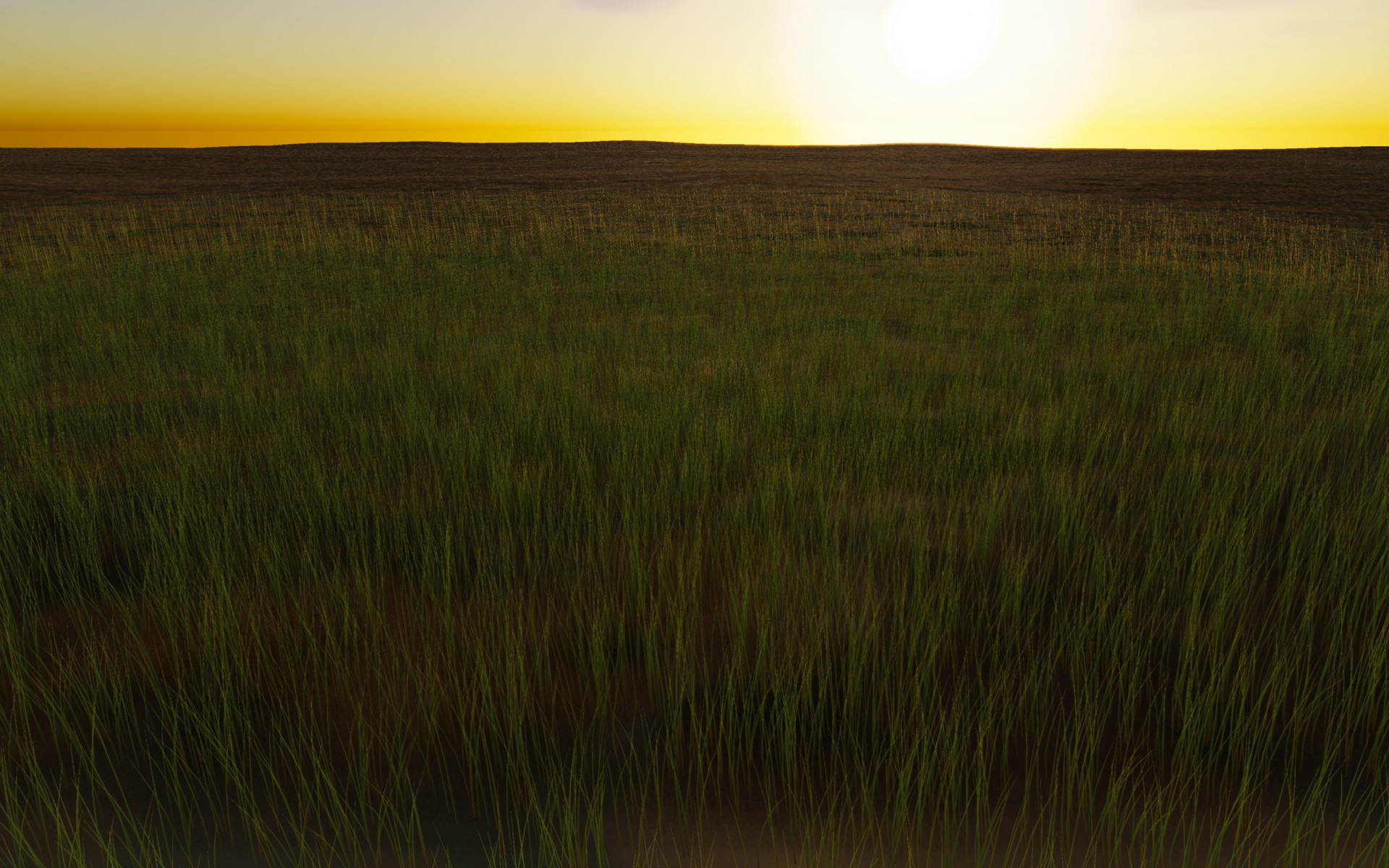 Visualizer · meadow-three-quarter