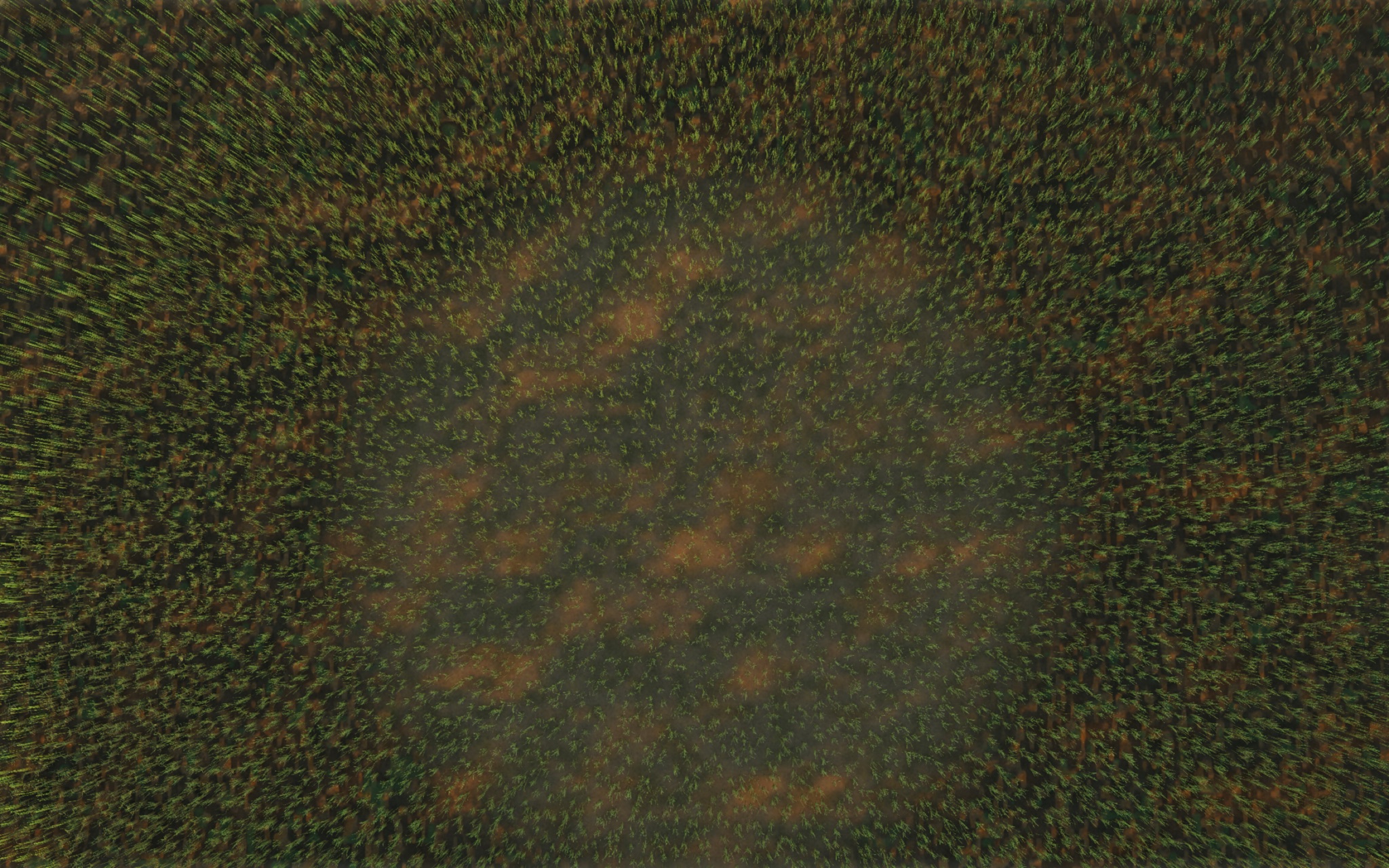 Visualizer · meadow-top