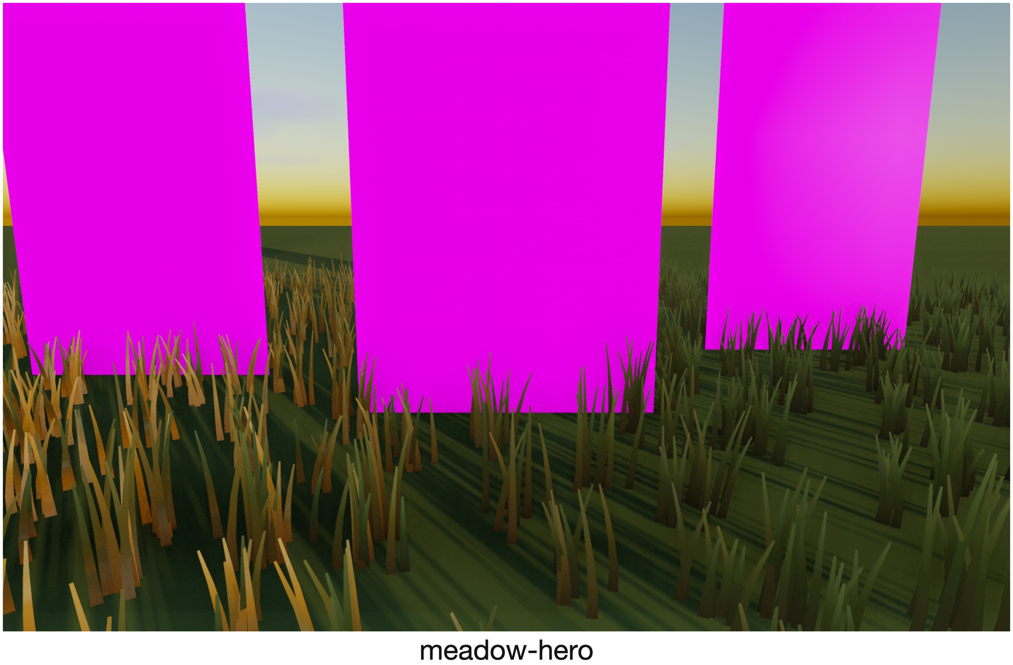 Visualizer · meadow