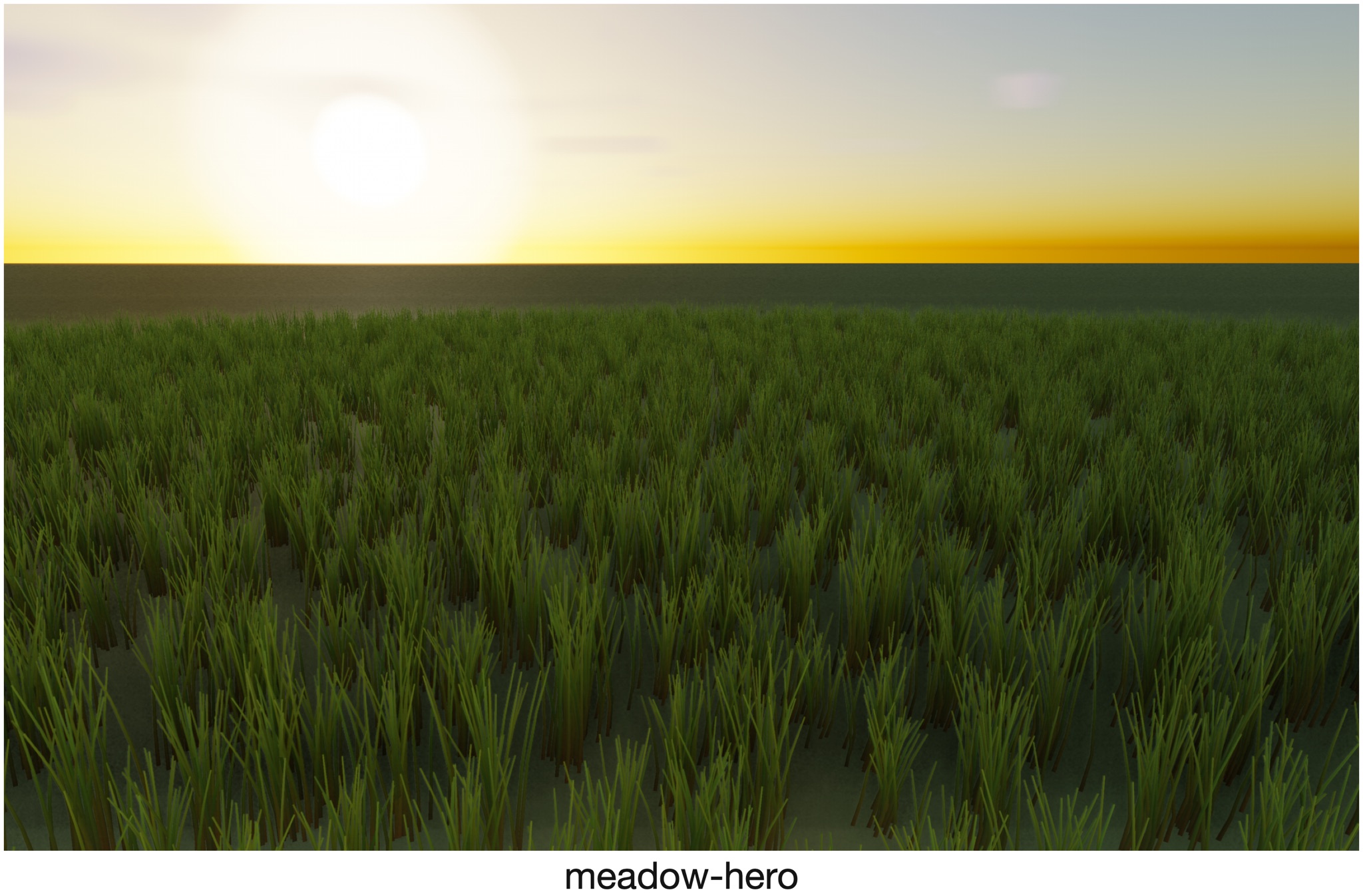 Visualizer · meadow