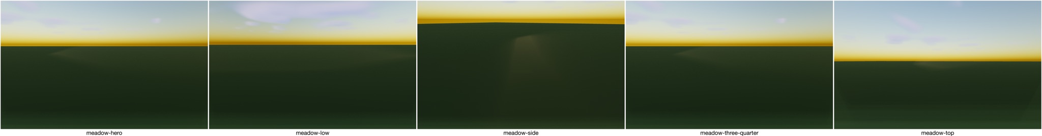 Visualizer · meadow