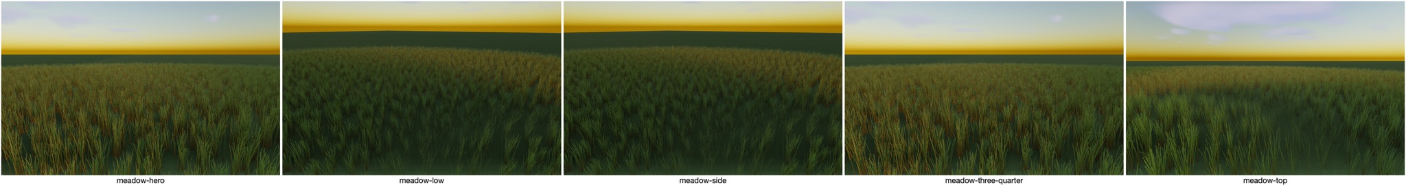 Visualizer · meadow