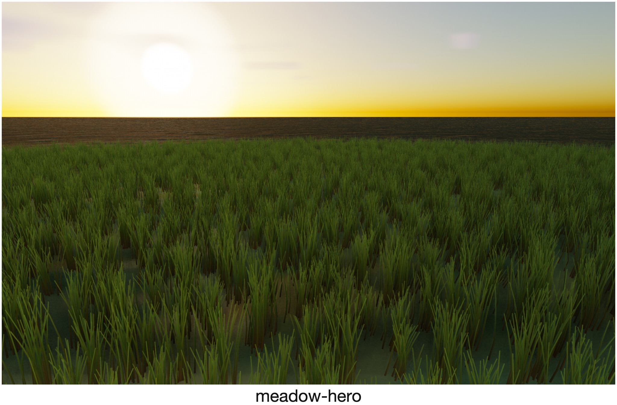 Visualizer · meadow