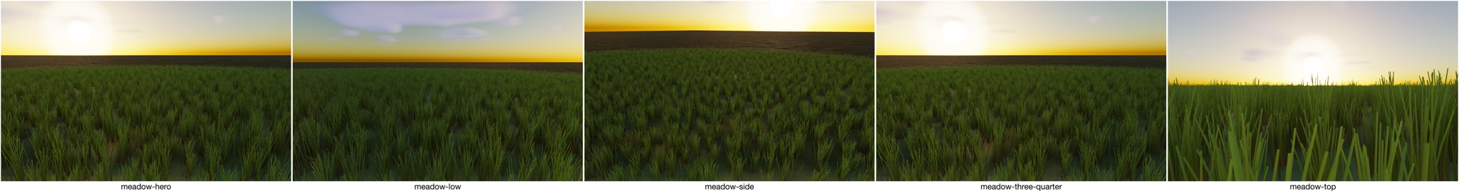 Visualizer · meadow