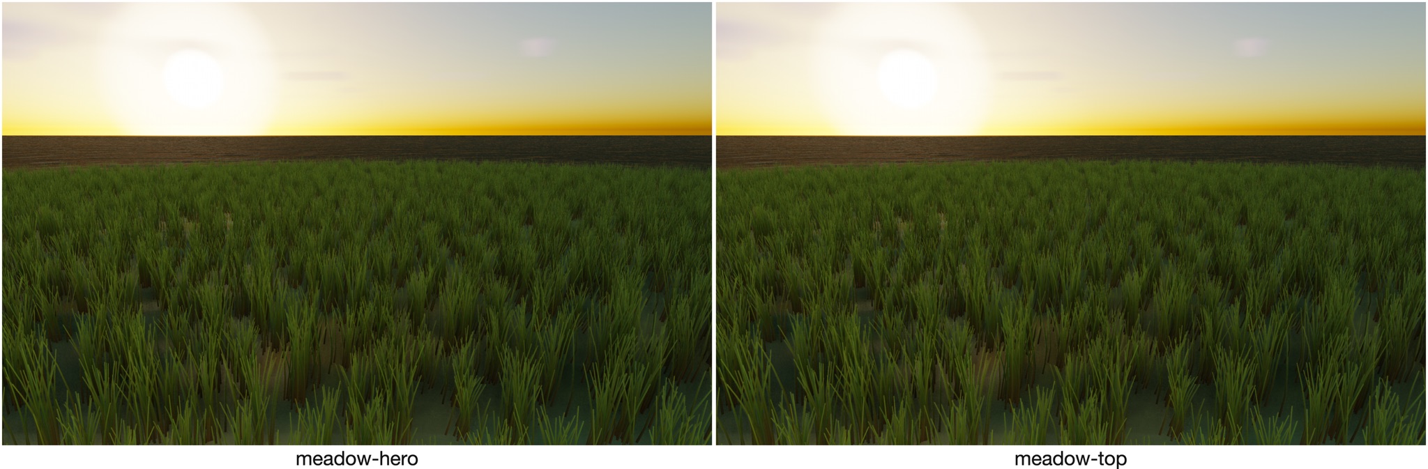 Visualizer · meadow