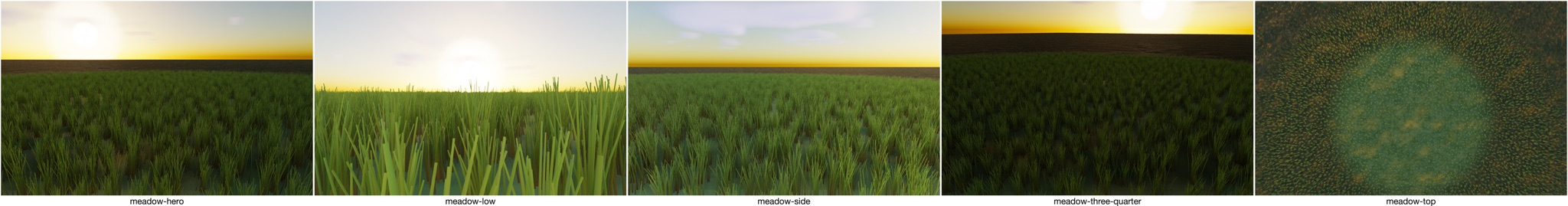 Visualizer · meadow