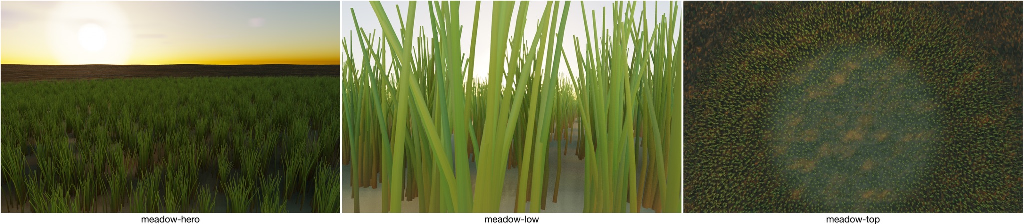 Visualizer · meadow