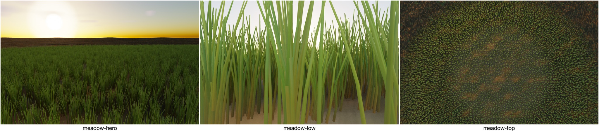 Visualizer · meadow