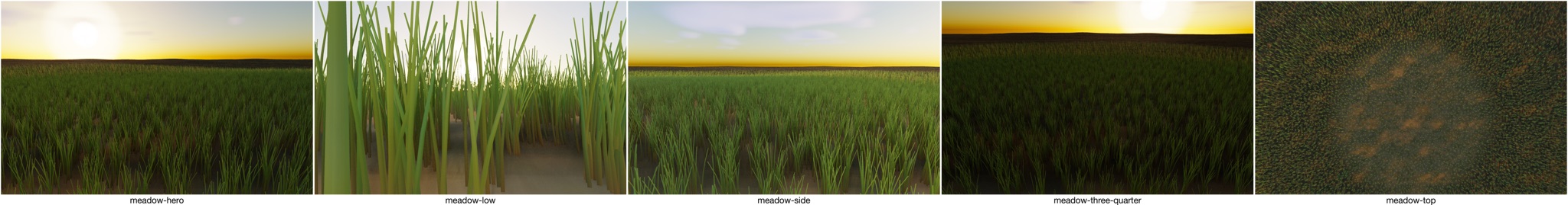 Visualizer · meadow