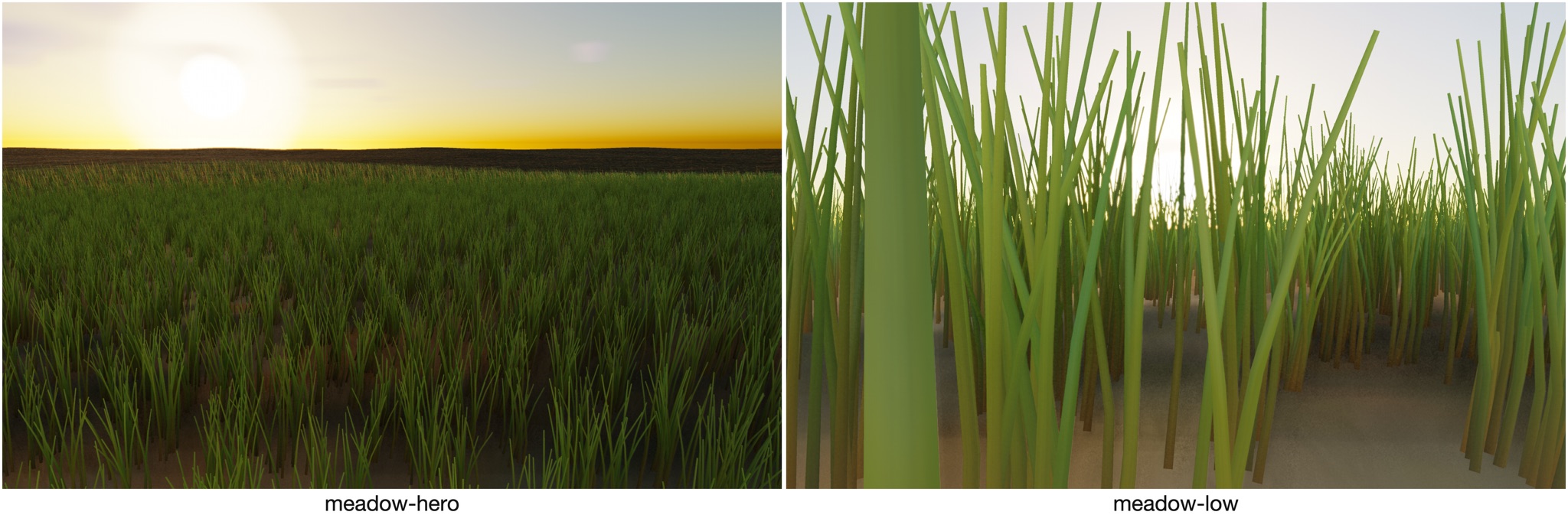 Visualizer · meadow