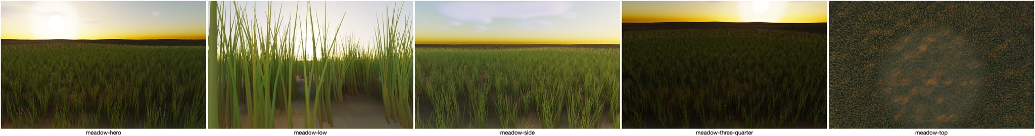 Visualizer · meadow