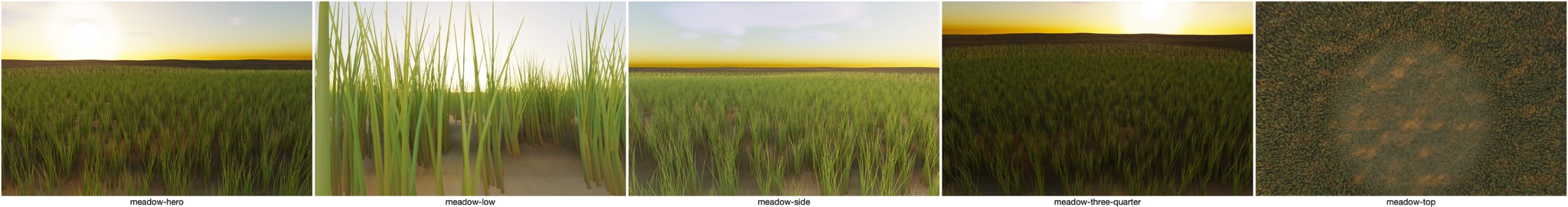 Visualizer · meadow