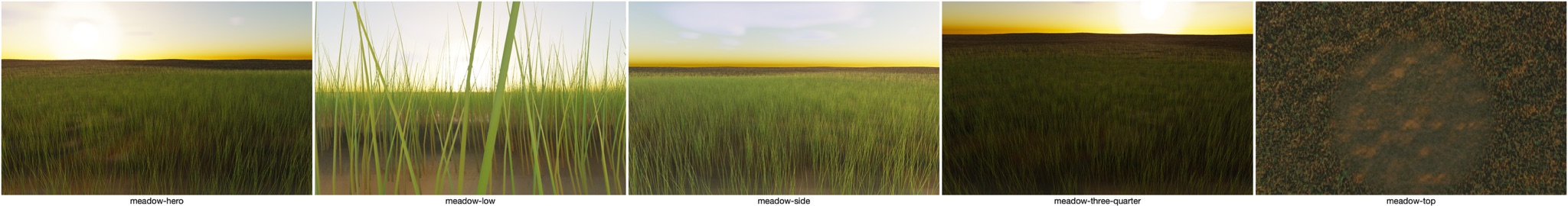 Visualizer · meadow