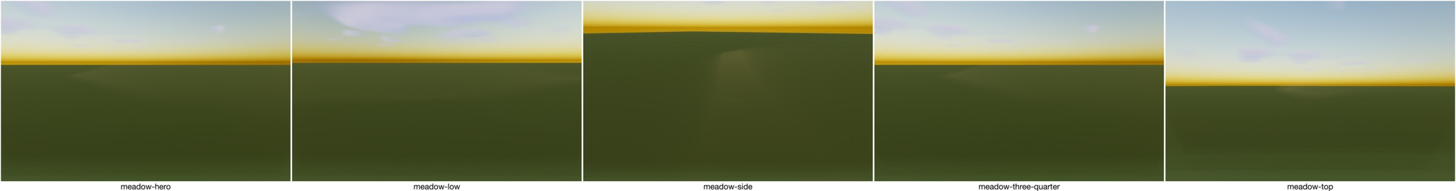 Visualizer · meadow