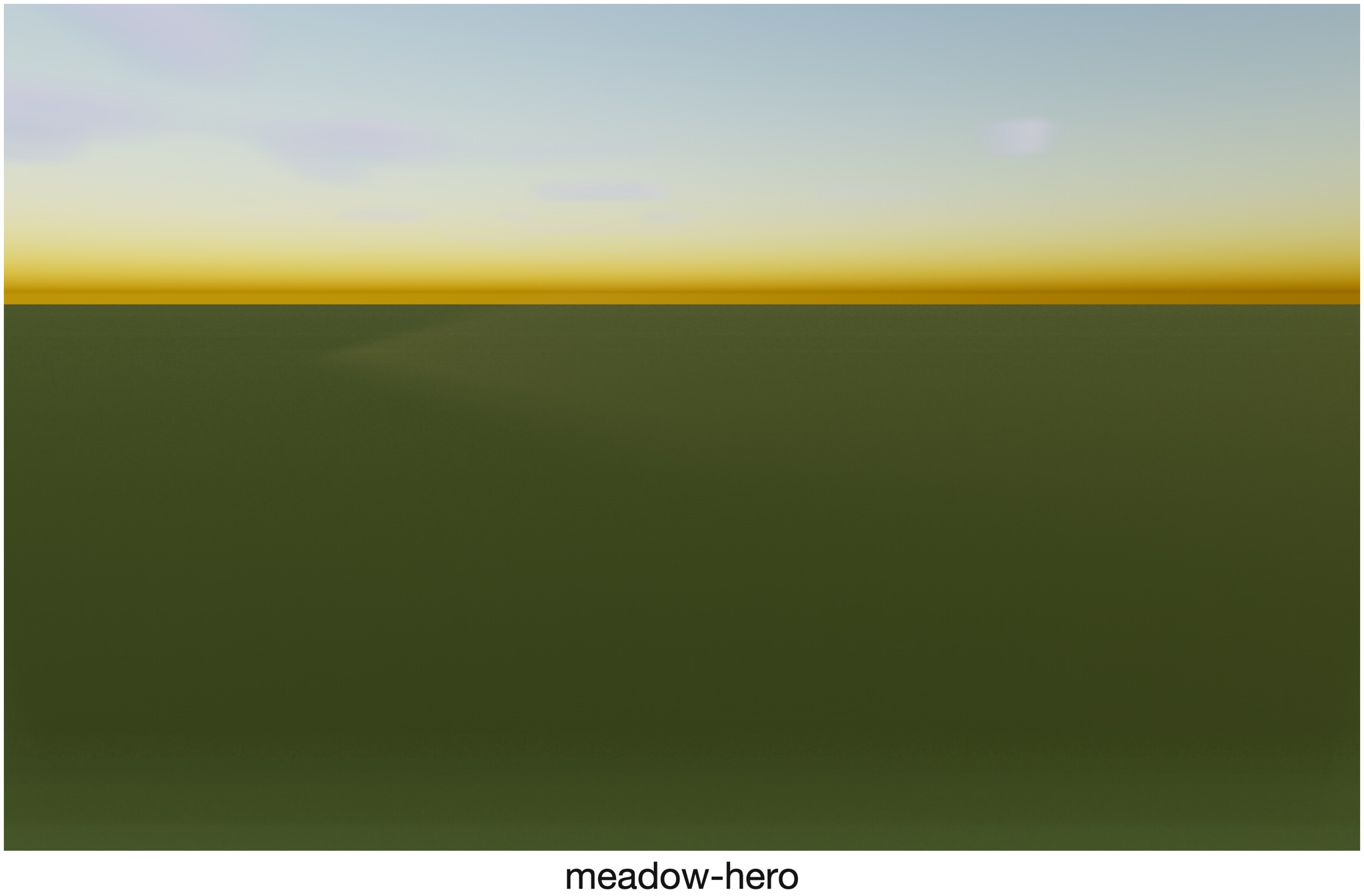 Visualizer · meadow