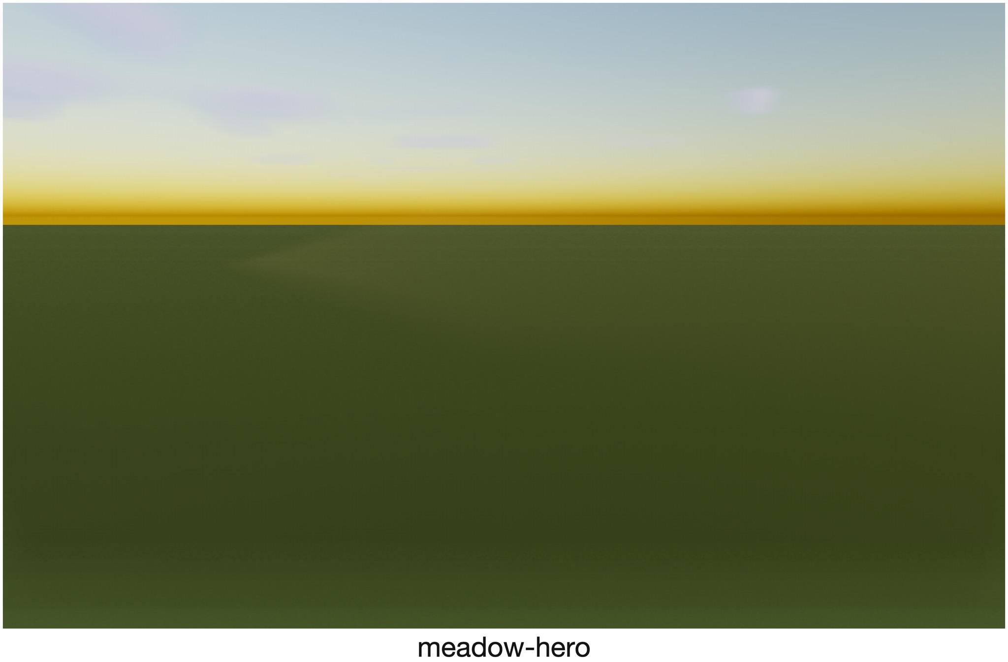 Visualizer · meadow