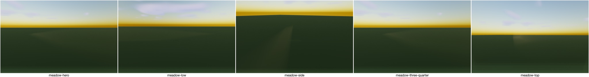 Visualizer · meadow