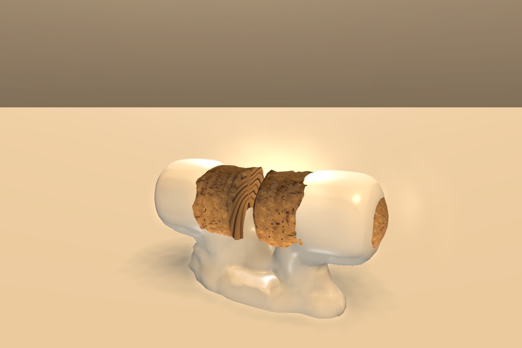 Visualizer · mozz