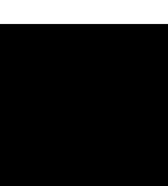 Visualizer · ne