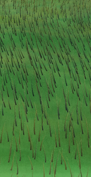 Visualizer · forest-crops-final