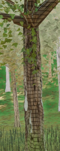 Visualizer · forest-crops