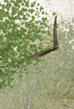 Visualizer · forest-crops4