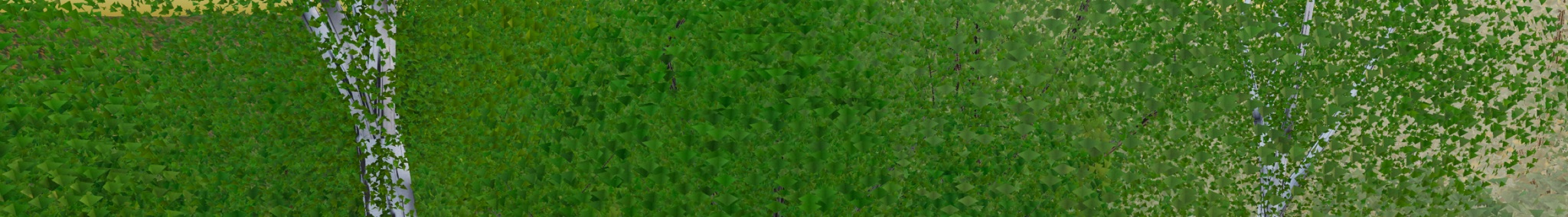 Visualizer · forest-crops