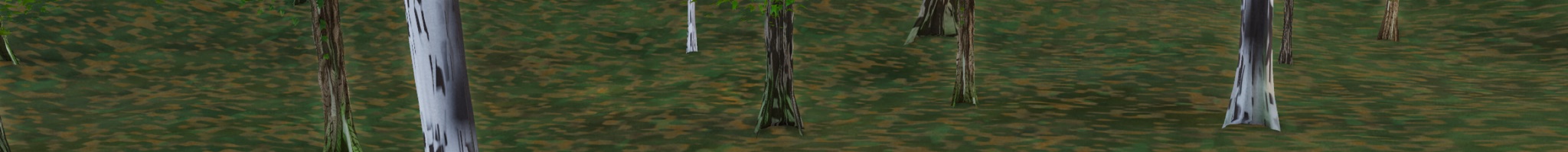 Visualizer · forest-crops